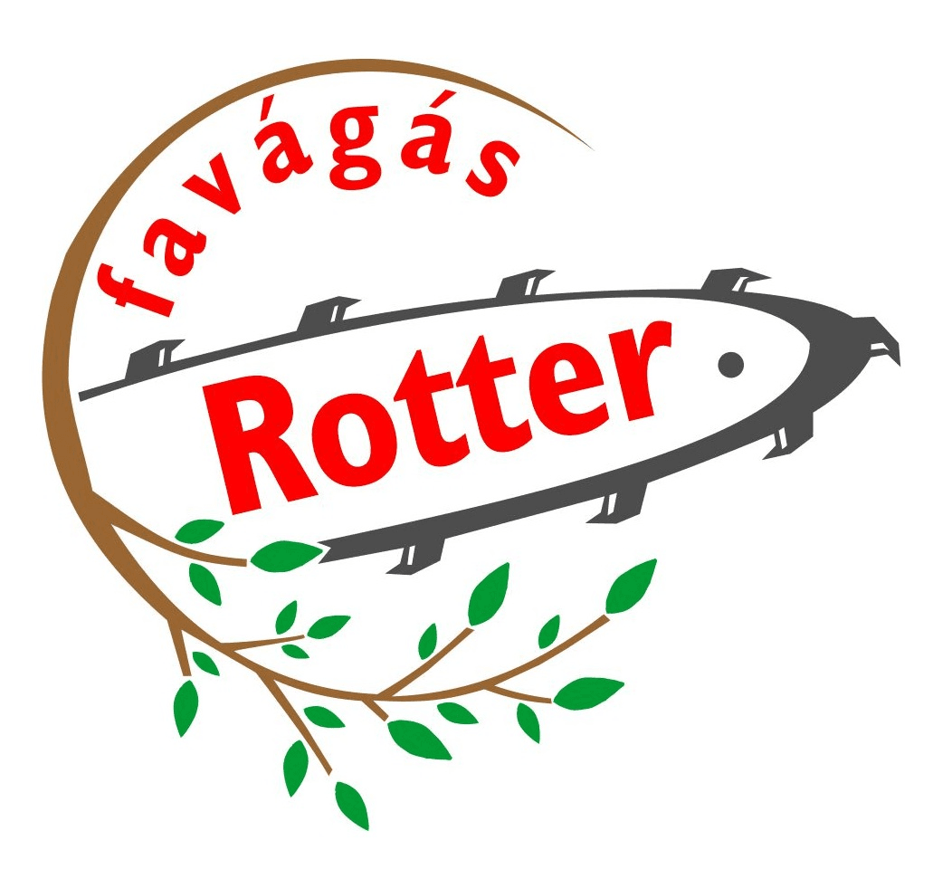 Rotter favágás